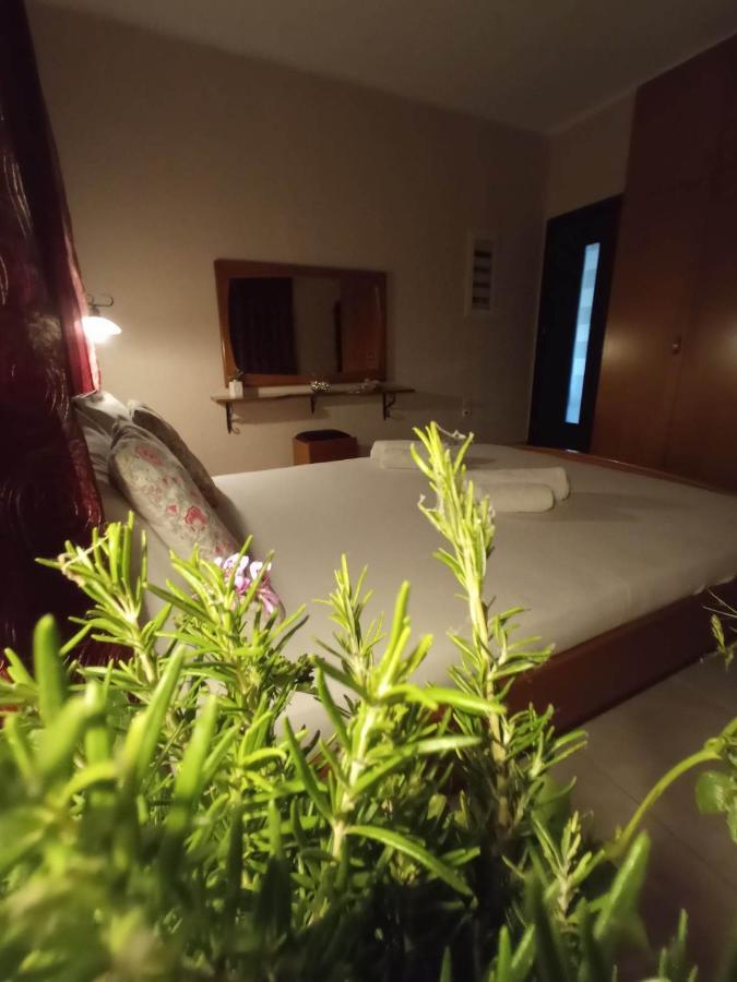 Villa Erasmia Dekarcho Ngoại thất bức ảnh
